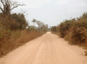 Gambische "Straße" - ganz schön staubig und oft mit riesigen Schlaglöchern