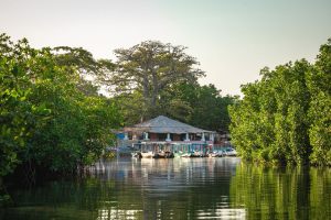Die berühmte Lamin Lodge mitten in den Mangroven